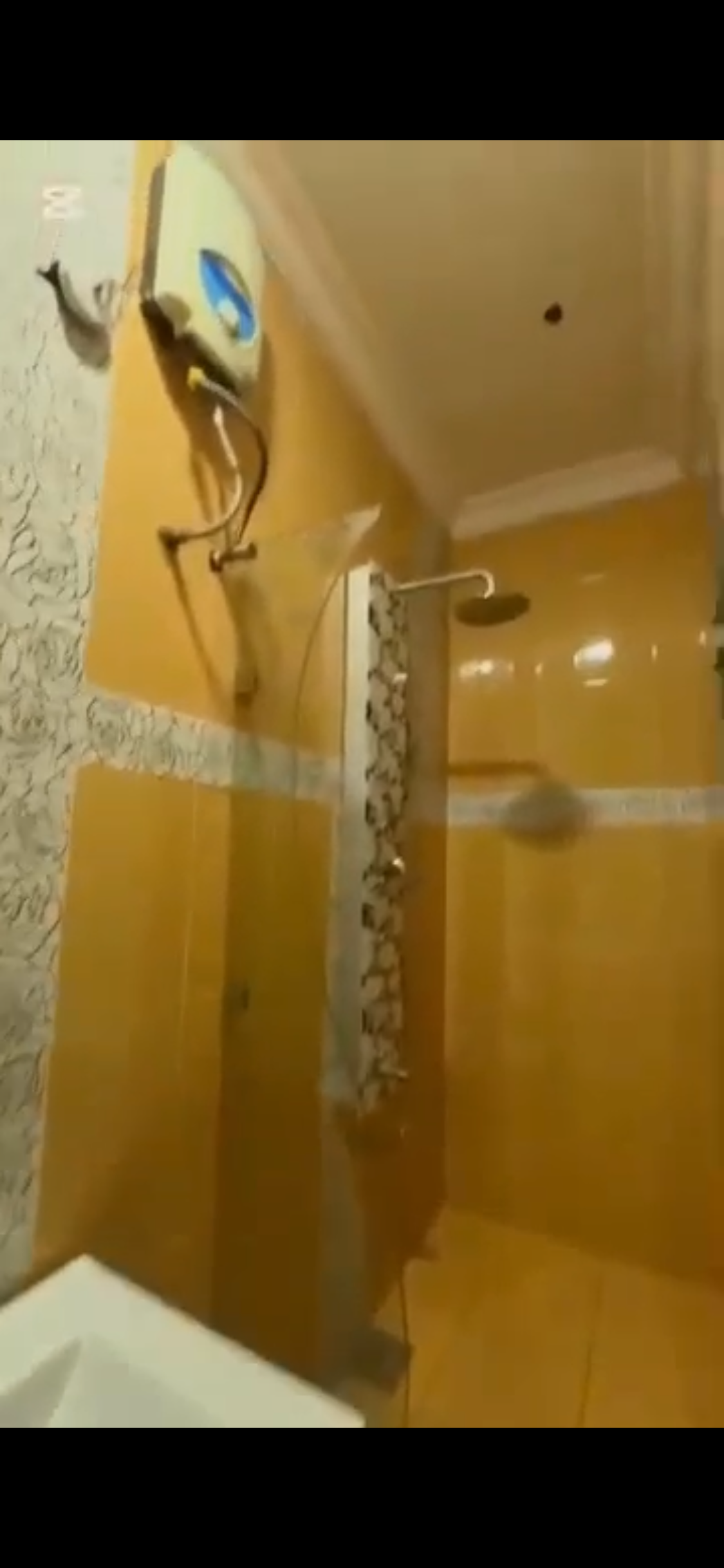 62 rooms Hotel all en-suite for sale, photo 15